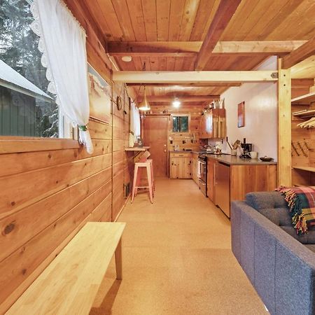 Cozy Cabin In Government Camp Εξωτερικό φωτογραφία